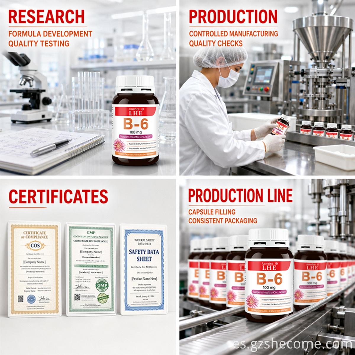 Vitamin B6 Capsules10